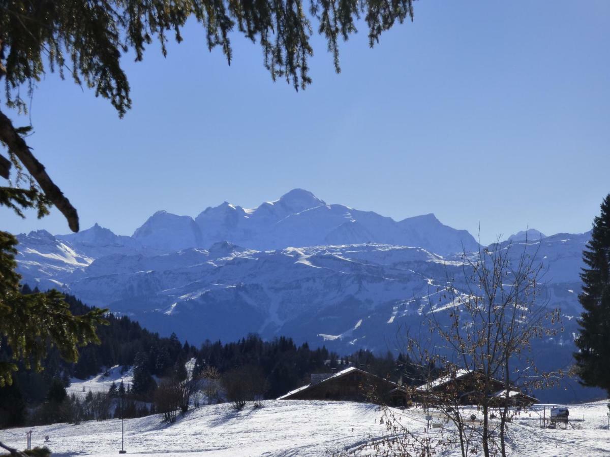 Le Genepi Apartment Taninges Bagian luar foto