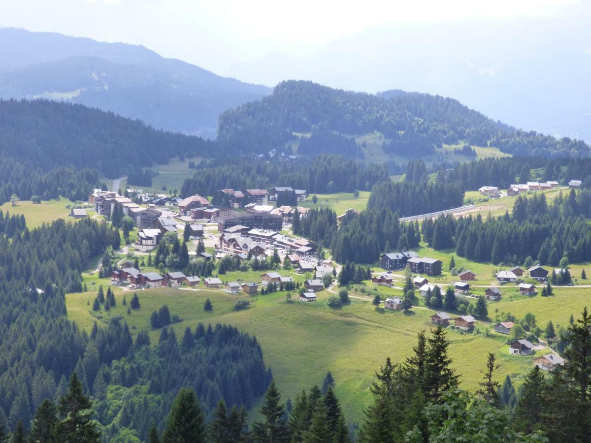 Le Genepi Apartment Taninges Bagian luar foto