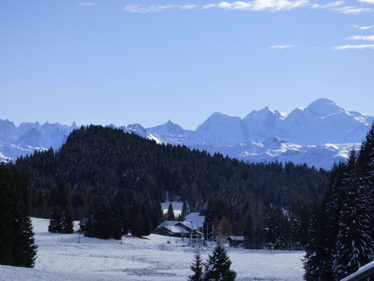 Le Genepi Apartment Taninges Bagian luar foto